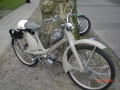 MOGO 2008