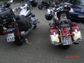 mogo_2009_2