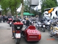mogo_2009_39