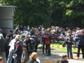 mogo_2009_53