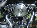 mogo_2009_58