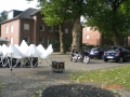 mogo_2011_009