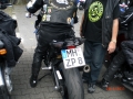 mogo_2011_025