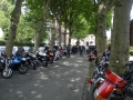 mogo_2011_072