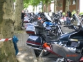 mogo_2011_075