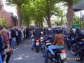 mogo_2011_090